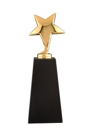 Trofee din metal MT 102